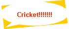 Cricket!!!!!!!